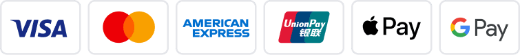 Visa, Mastercard, American Express, UnionPay, Apple Pay, Google Pay